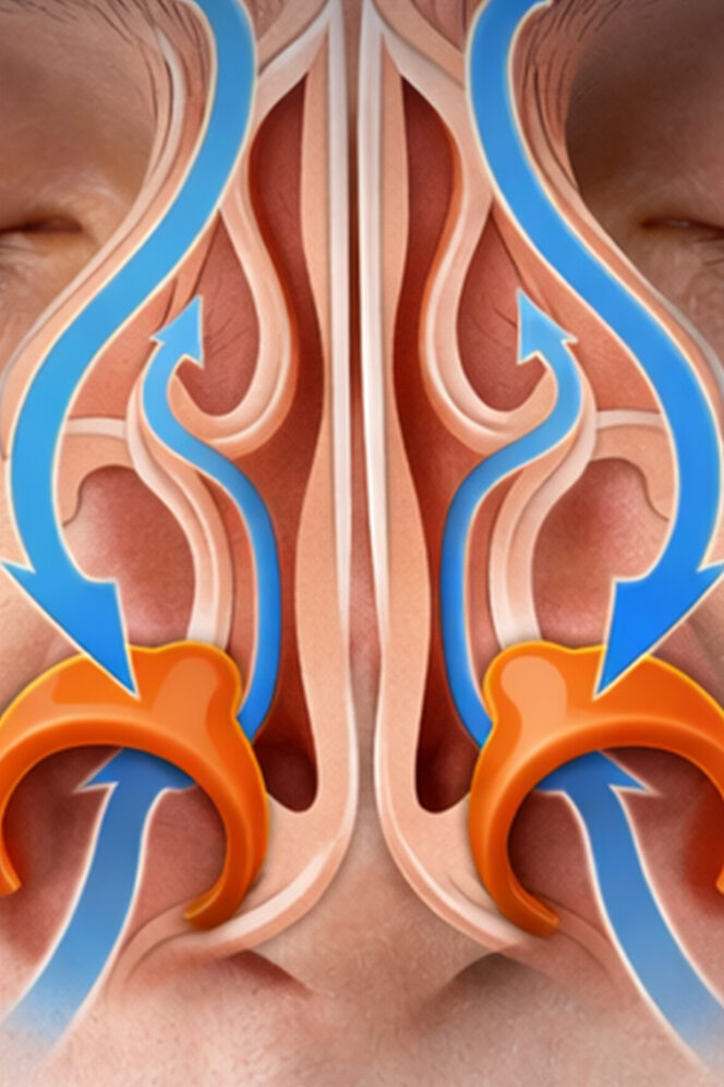 nasal breathing VR boxing